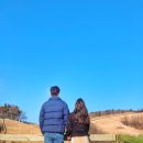 해인목장 이미지