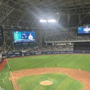 장 안경원 이미지