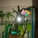 길상초등학교 이미지