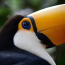 천안세무서 이미지