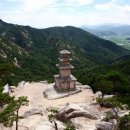 경주숲 3,4 이미지