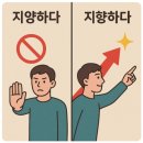 토배기 | [제천맛집]제천 토배기 주인장의 또또또간 맛집 ‘식껍’ 내돈내산 후기