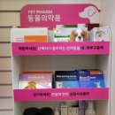 청담와이약국