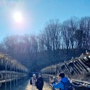 DMZ 평화의 길 31코스 이미지