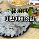 속초 외옹치항 회센터 미란이네 횟집 솔직 후기