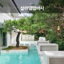 소중한 댕 이미지