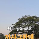 까사 그란데 이미지