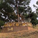 자연숨식당 이미지