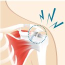 추부의원 이미지