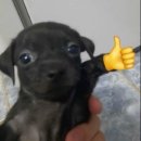 스테이 말래 | [제주도 숙소 후기] 공항 근처 코지 스테이_잊지못하고 다시 숙박한 최고의 제주도 게스트하우스