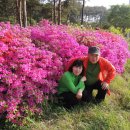 태안휴게소 이미지