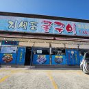 지세포