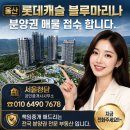 롯데캐슬블루공인중개사사무소 네이버블로그