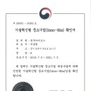 한국아이도스