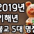 우주불교만물 이미지