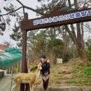 신안얼음