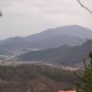 지정면 (장지동)