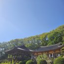 검빵이네 | 경북 영주 : 1박 2일 코스 추천 ⛰️부석사 무량수전부터 무섬마을 외나무 다리까지 🏝