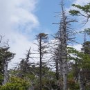 관음사 화장실 이미지