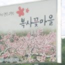 삼교리원조동치미막국수