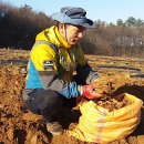 창수농장 이미지