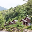 용인자연휴양림1 이미지