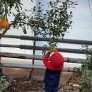 원암농장 이미지