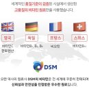 인에너지 이미지