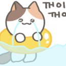 땡길만두 이미지