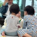 캄포하우스 | 비오는 날 거제여행 | 캄포하우스 솔직후기