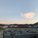파크독&살롱 네이버블로그