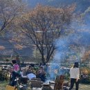 카페대둔산
