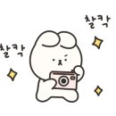 평택애견미용송탄점학원