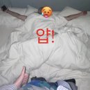 단월초등학교 | 산미없는원두먹방