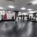 복싱메카 이미지