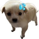 개관 15주년 기념 <추억＆낭만 콘서트> 2회차 공연 | . ˖ ₊ ⋆ ₊ ⊹ ଳ ݁ . 𓆝 :･ﾟ 𓇼 . ✩ ˚ ݁ 𖦹 ​