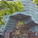 판교 인공암벽장 이미지