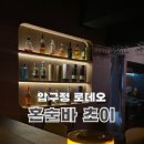 압구정시골쥐 | 여자 혼자 다녀온 압구정로데오 혼술바 후기 혼술바 초이