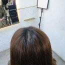 대구 죽전동 미용실 로이드밤 염색 해연 디자이너 후기