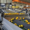 제주남원농협사업소 이미지