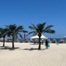 모듬순대 이미지