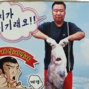 곰치해장국 | [삼척 맛집] 만남의 식당, 현지인들이 찾는 원조 곰치해장국 솔직 후기