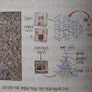 인공지능과 인간의 미래 | AGI 천사인가 악마인가, 김대식, 독서모임, 인간의 마지막 질문이 될까