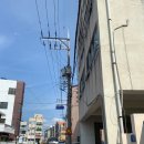 동초등학교 이미지