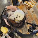 종합분식 이미지