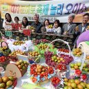 강서구-22 이미지