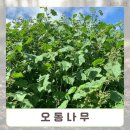 티티산업
