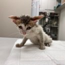 바람모퉁이어린이공원 이미지