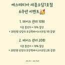 에스테티아세종소담 이미지