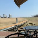 꿈의숲동물병원 이미지